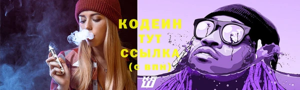 хмурый Касимов