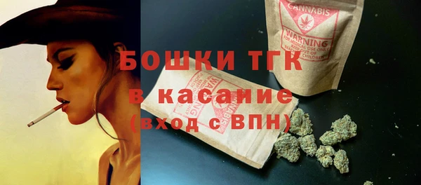 хмурый Касимов