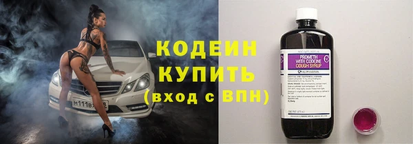 хмурый Касимов