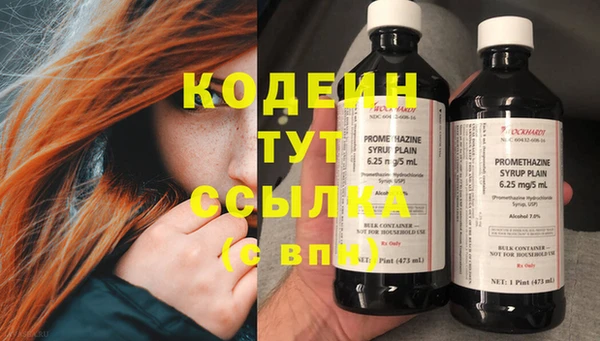 хмурый Касимов
