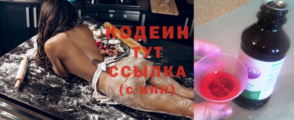 хмурый Касимов