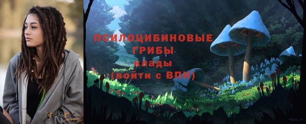 spice Карталы